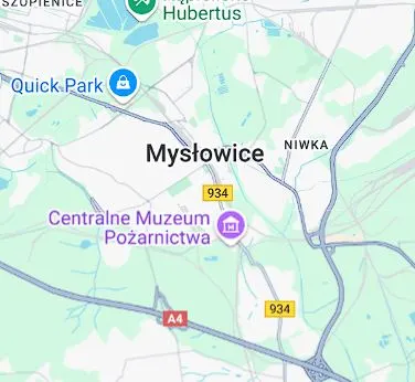 Najczęściej wybierane diety w Mysłowicach – co zamawiają mieszkańcy?