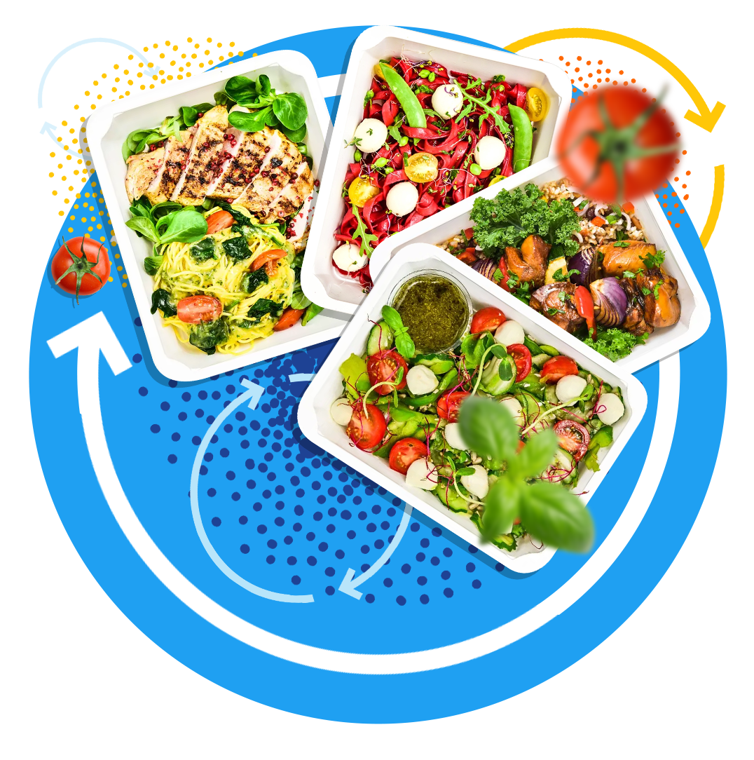 Dieta Wybór KETO