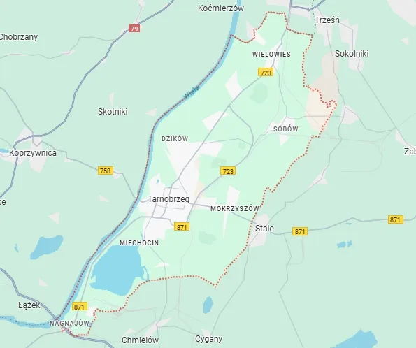 Dieta z wyborem menu w Tarnobrzegu – elastyczny catering pudełkowy od AfterFit