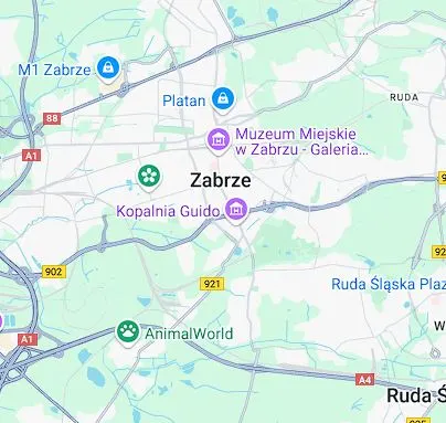 Najpopularniejsze warianty diety w Zabrzu