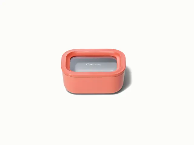 Mini Rectangle Container - Perracotta - Hero