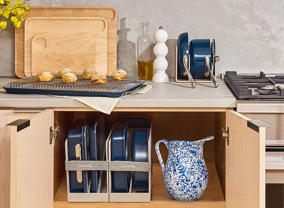 A Non-Toxic Future for All