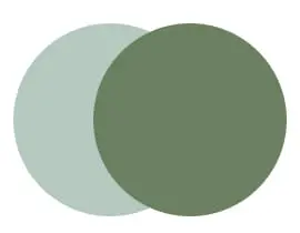 Color Shop - Greens.jpg