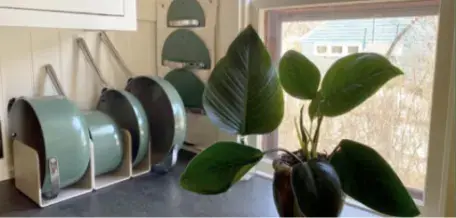 How to Switch to Sustainable Bakeware Sets: Easy Eco-Friendly Tips