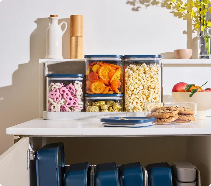 Airtight Glass Container Set - Navy - Storage - Desktop