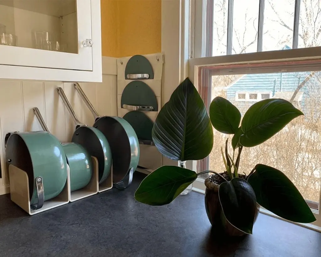 Ceramic Cookware - Sage - in organizer