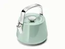 Whistling Tea Kettle - Mist - Hero