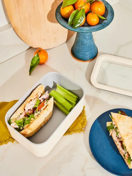 Food Storage - Medium Storage Container - Hover