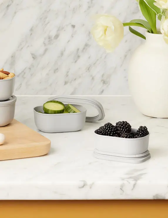 Mini Dash Container Set of 2