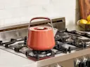 Whistling Tea Kettle - Perracotta - Lifestyle