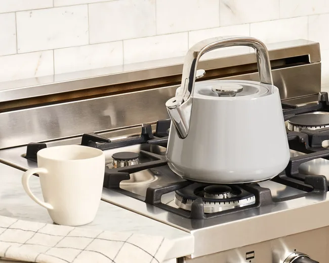 Whistling Tea Kettle - Gray - with mug