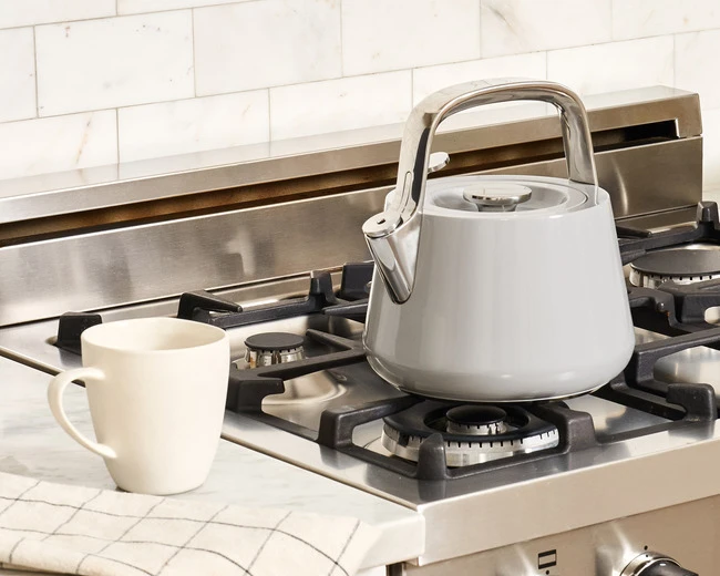 Whistling Tea Kettle - Gray - with mug