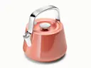 Whistling Tea Kettle - Perracotta - Hero