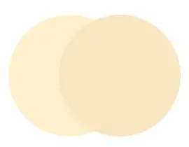 Color Shop - Cream.jpg