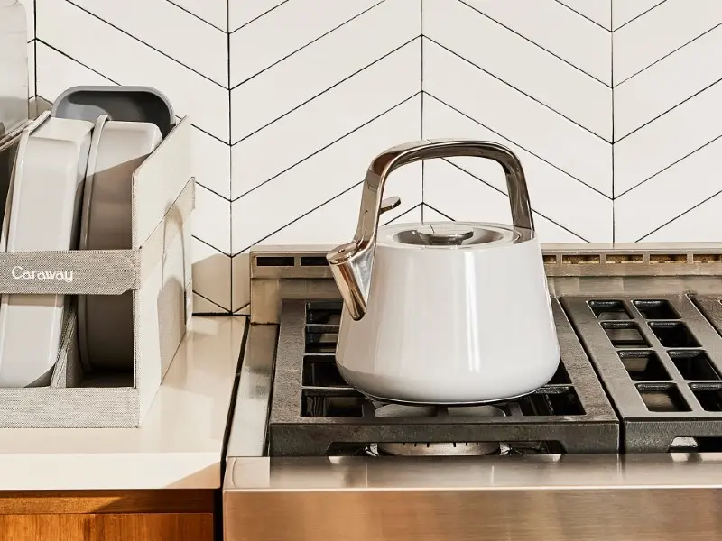 Whistling Tea Kettle - Gray - Lifestyle