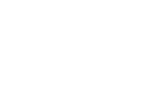 bsu-holding-white