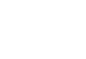 logo free now white 