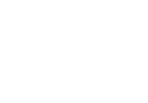 grenzlauefer white