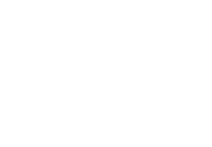 logo_hoyer_w