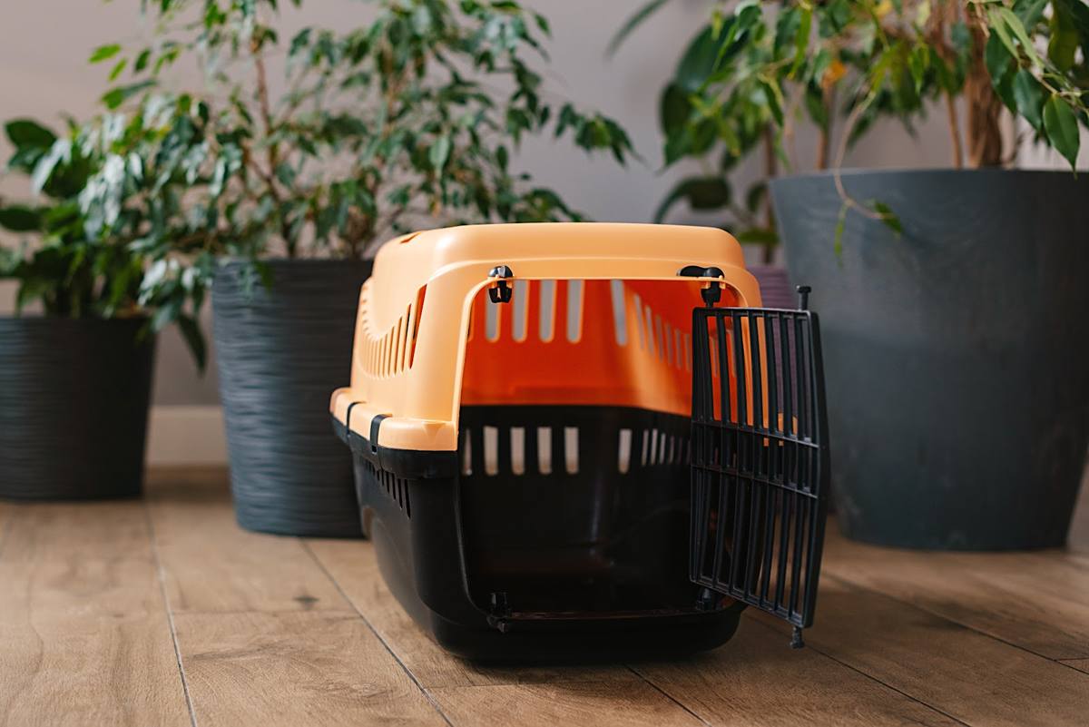 Tierkäfig, Transportbox und Hundebox occasion auf Ricardo.