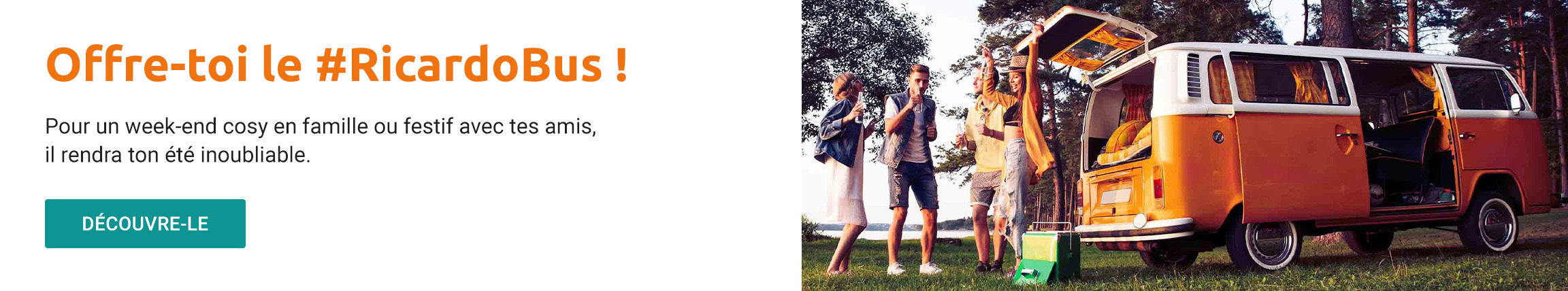 RicardoBus FR (top)