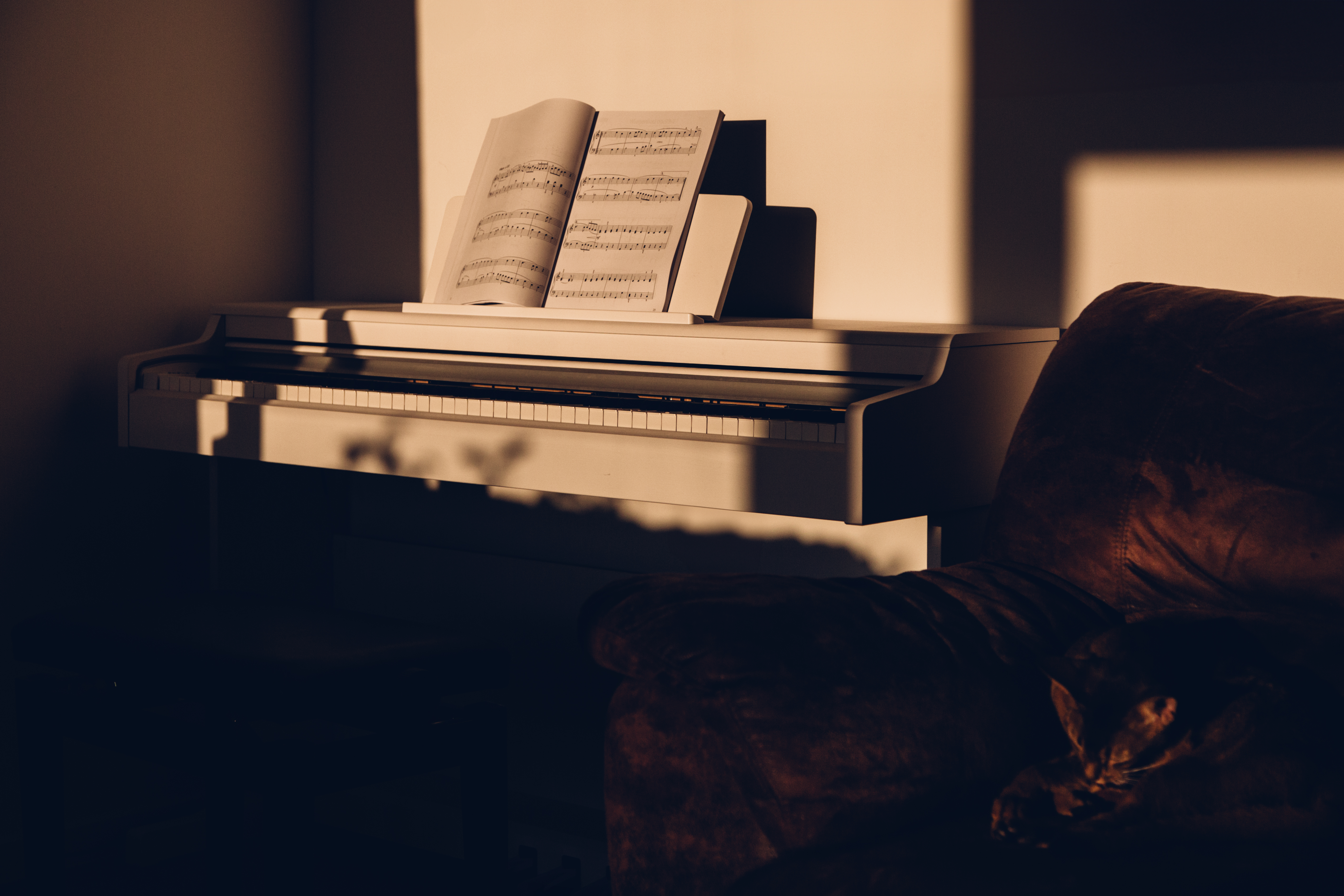 Instruments de musique d'occasion - guitare, piano et accordéon sur Ricardo.
