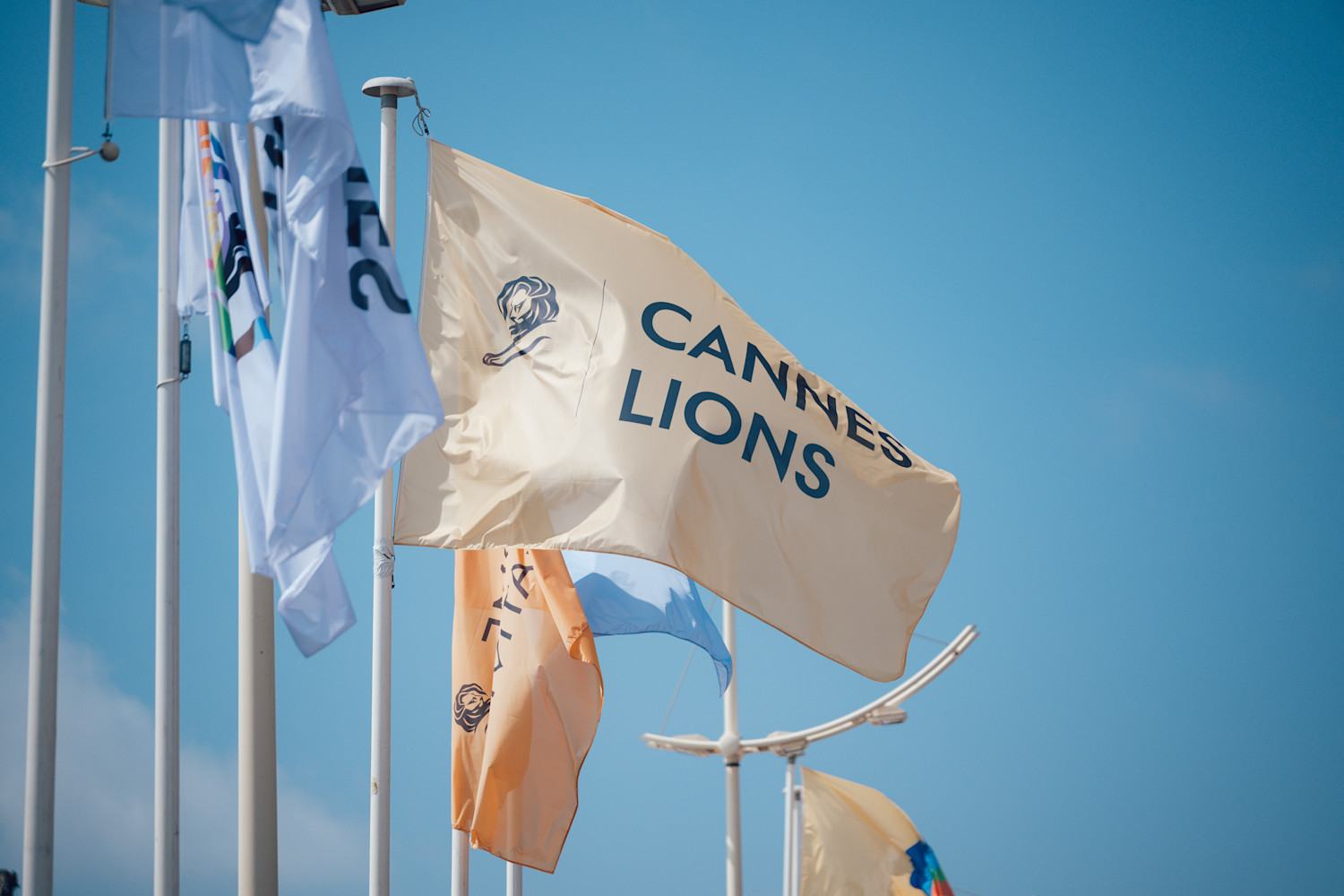 Cannes Lions flags