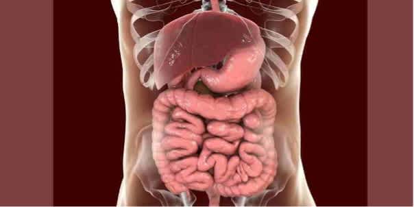 Enfermedades gastrointestinales, causas y prevención