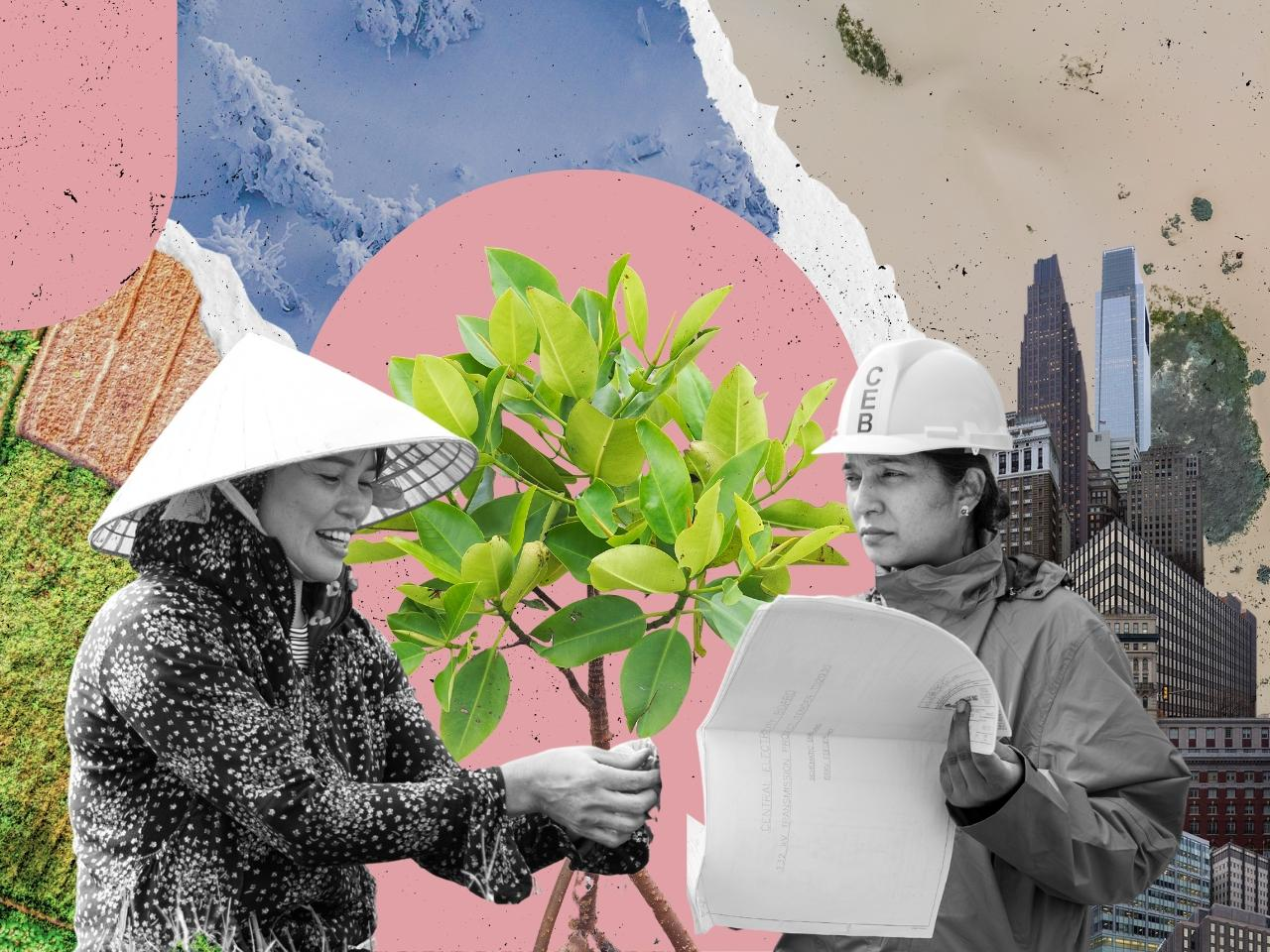 El poder de la emoción en la construcción de narrativa para la acción climática.