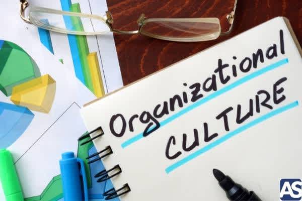 Importancia de la cultura organizacional de una empresa