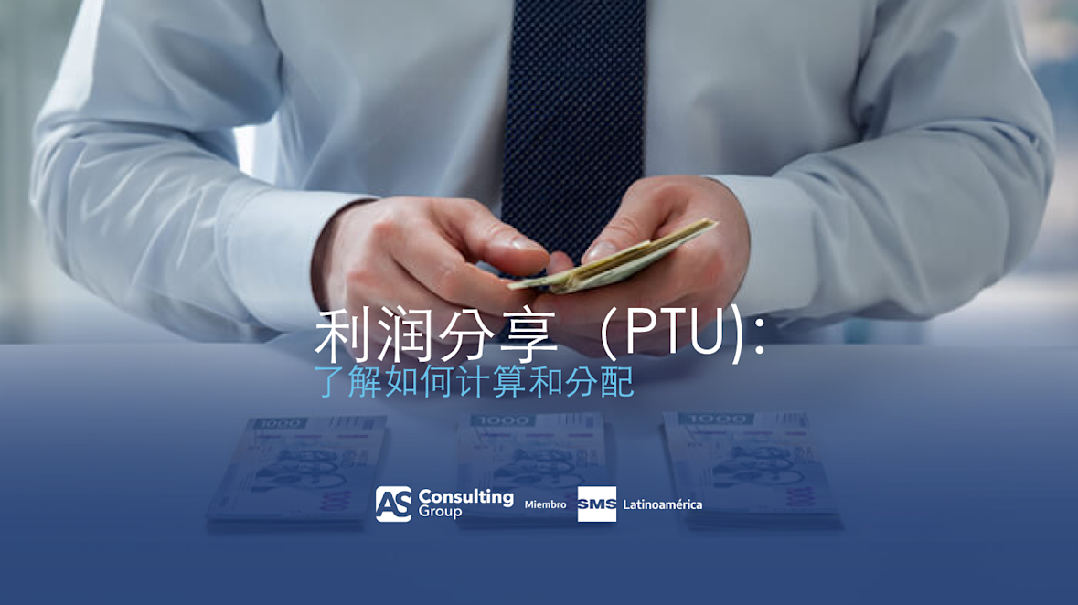 利润分享(PTU):了解如何计算和分配