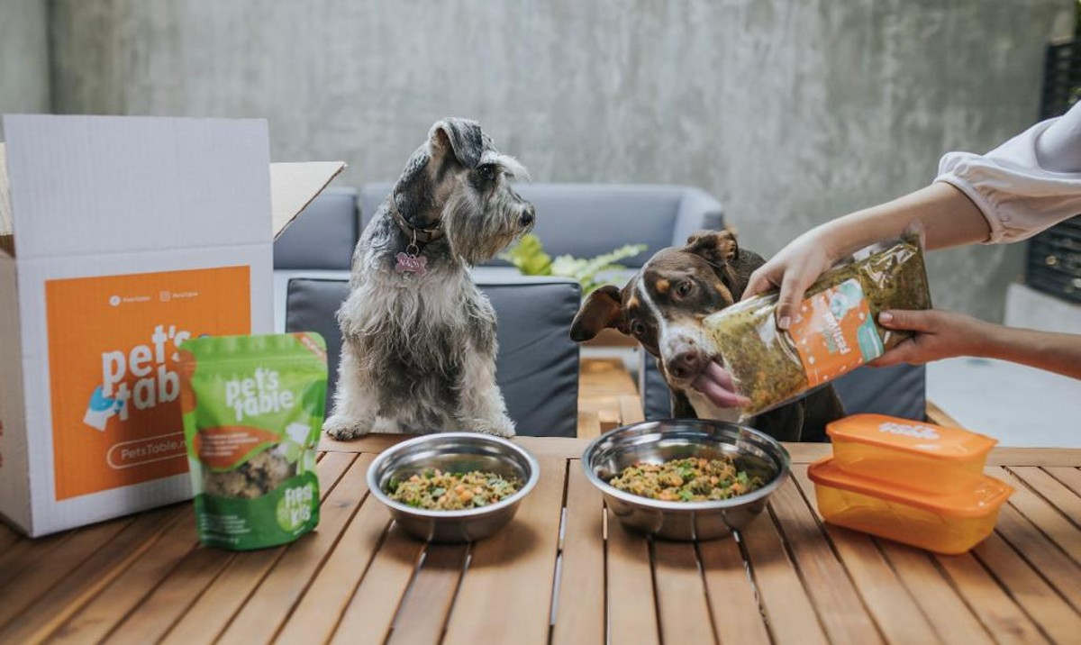 El negocio más perrón de México: la exportación de alimento para mascotas crece 7.5 veces.