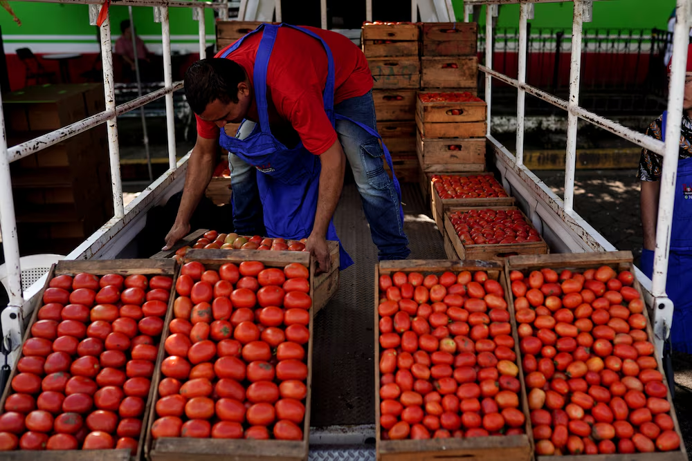 tomate-aranceles