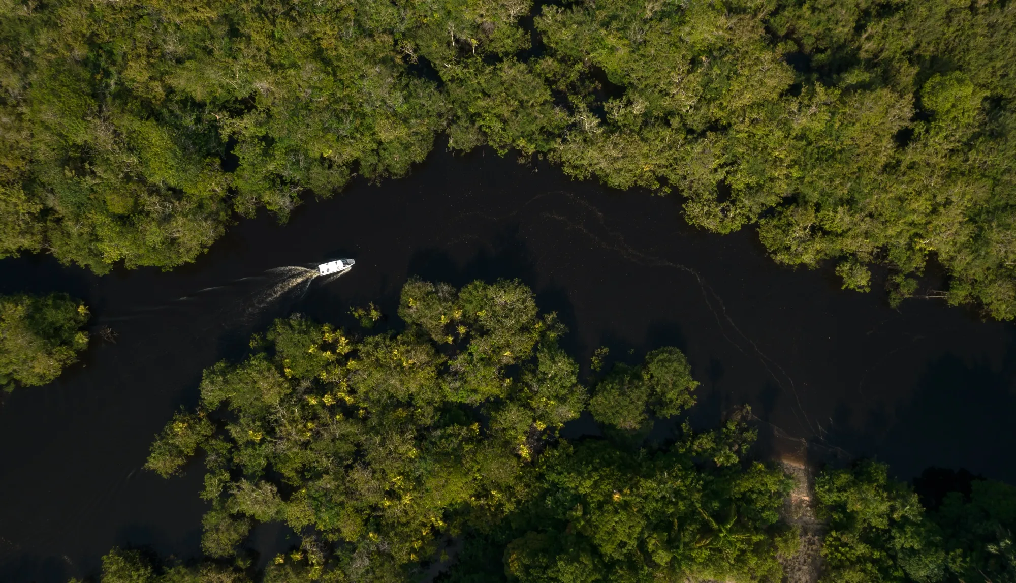 Brasil impulsa un fondo para financiar la protección forestal.