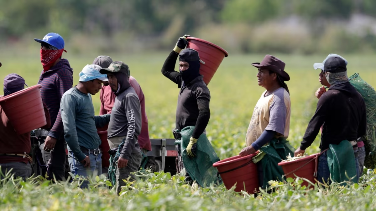 Navegando en Aguas Profundas: Las Implicaciones Fiscales de la Mano de Obra Extranjera en la Industria Petrolera Mexicana