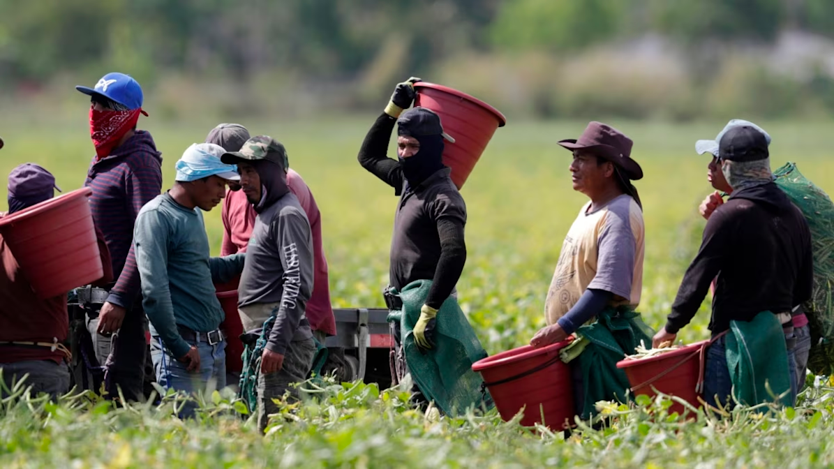 Navegando en Aguas Profundas: Las Implicaciones Fiscales de la Mano de Obra Extranjera en la Industria Petrolera Mexicana