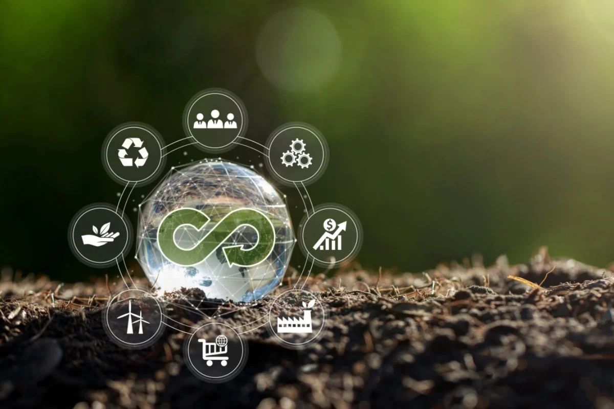 Ley de Economía Circular busca gestionar el ciclo de vida de productos en México.