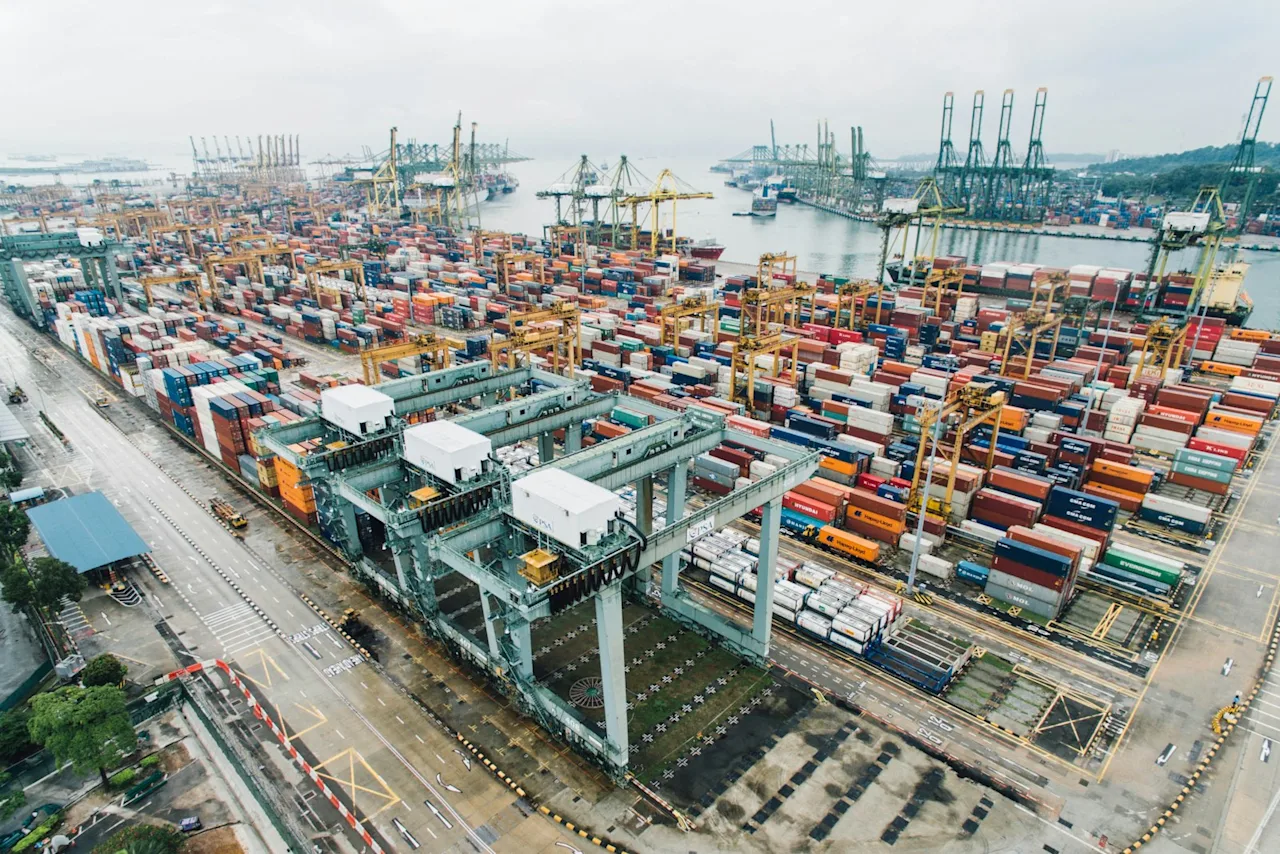 Export License and Import License: What US Businesses Actually Need