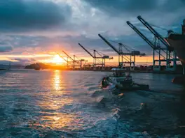 Export License vs Import License: What US Businesses Actually Need