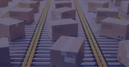 Shipper's Declaration for Dangerous Goods - Form, Example & Rules