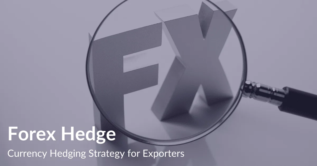 Forex Hedge | Currency Hedging Strategy for Exporters