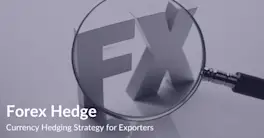 Forex Hedge | Currency Hedging Strategy for Exporters