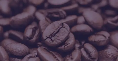Coffee Exports from India | How the market has stirred up