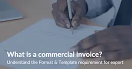 Commercial Invoice Template: Format, How to Fill and Examples