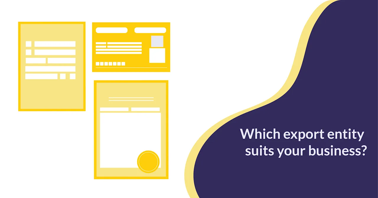 How to Decide Which Type of Entity Suits Your Export Business