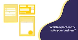 How to Decide Which Type of Entity Suits Your Export Business