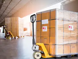 Palletized Freight: Optimizing Shipping with Pallets & Palletizing