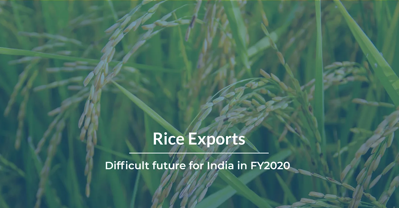 Rice Exports: Difficult Future for India in FY 2020