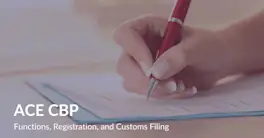 Automated Commercial Environment (ACE) | System, Application & Report