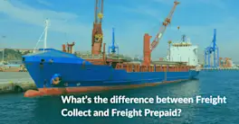 Freight Collect vs Freight Prepaid: Meaning and Key Differences